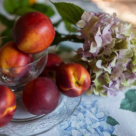 Il Dosso Bed & Breakfast