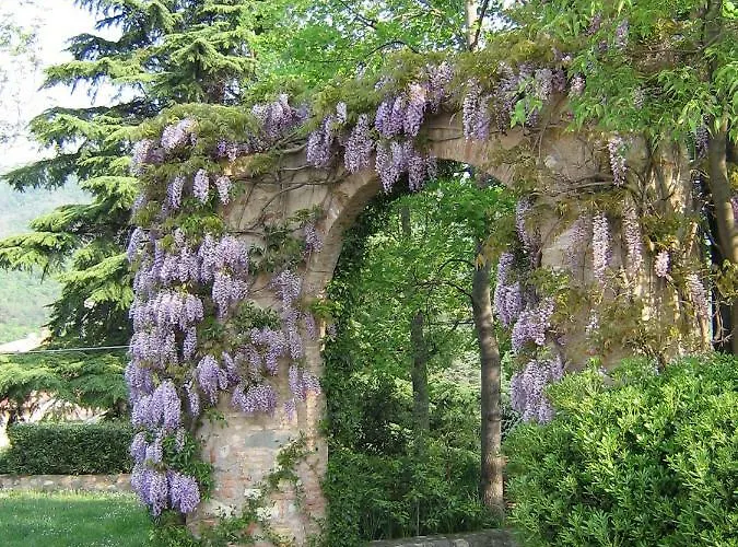Il Dosso * Corte Franca