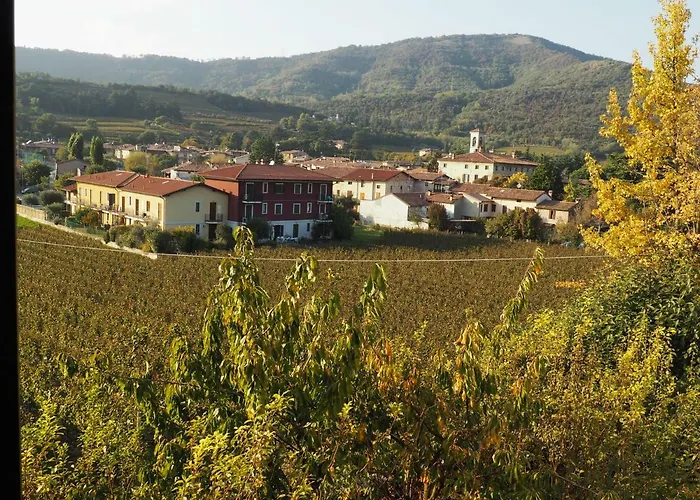 Il Dosso Bed & Breakfast