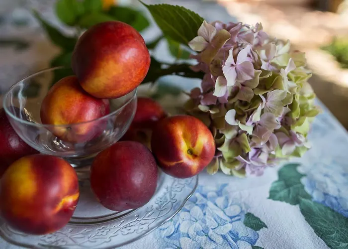 Il Dosso Bed & Breakfast